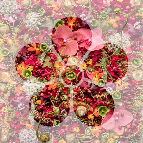 ニコライ・バーグマン、太宰府天満宮など“伝統の地”3会場を舞台にした展覧会開催