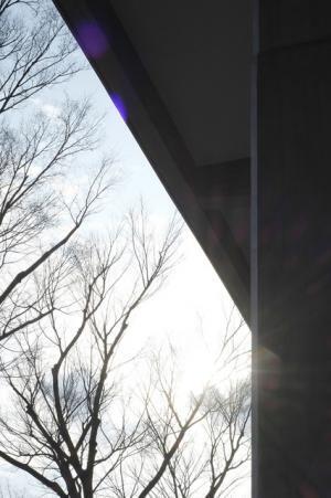 ロームシアター京都やヴィラ九条山など建築物を被写体とした飯沼珠実の写真展。京都＆代官山の蔦屋書店で開催