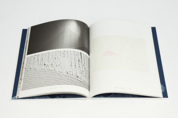 砂糖細工用アイシングで彫刻を作る佐々木愛の初作品集。あいちトリエンナーレ2016にも参加【NADiffオススメBOOK】