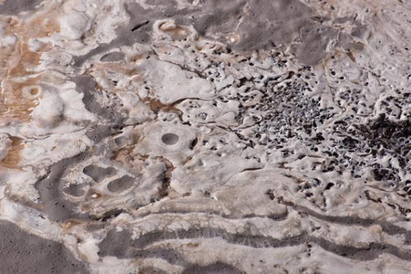 モードイラストレーションの第一人者、エドツワキの新作個展が表参道ロケットで開催