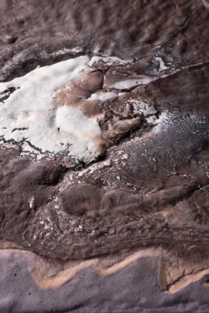 モードイラストレーションの第一人者、エドツワキの新作個展が表参道ロケットで開催