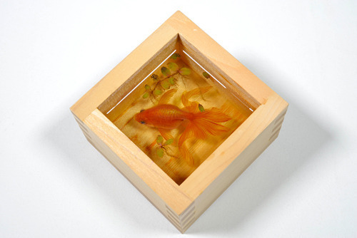 エッシャー、名和晃平、森村泰昌らのトリックアートが集結！「不思議なアート トリック トリック ハッ！とトリック」展