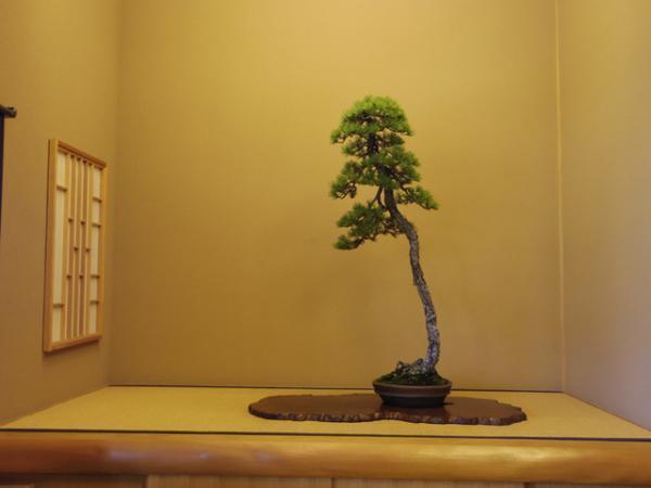 瀬戸内国際芸術祭にも出展した盆栽師・平尾成志による1日限りの“アートな盆栽”イベントがアーツ千代田3331で開催