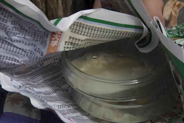 甲府の旅：五味醤油の味噌蔵で採取された菌