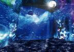 テクノロジー×魚による幻想体験、“えのすい”で今年も夜の水族館「ナイトワンダーアクアリウム」が開催！