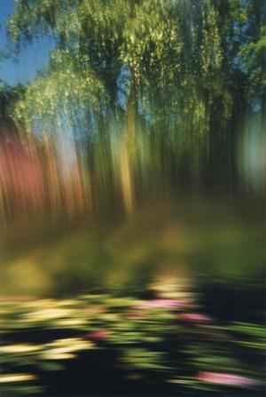 写真家・永瀬沙世--海外との仕事で再認識したアーティストステイトメントの重要性【INTERVIEW】