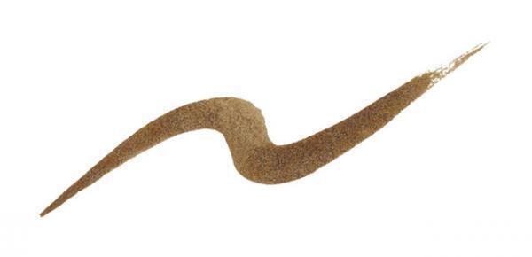 ジルスチュアート、ネイビー&amp;ブラウンで女の子の2面性にフォーカス。16年秋コレクションを数量限定発売