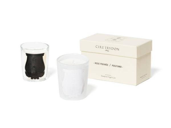 ステラ マッカートニー、猫ネオンのストアウィンドウで動物愛護団体を支援