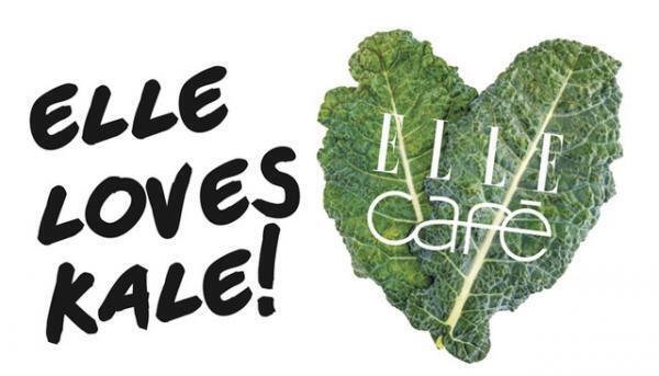 エル カフェ、オーガニック ケールを主役にしたメニュー。「ケールバーガー」や「ケールチキンサラダ」など