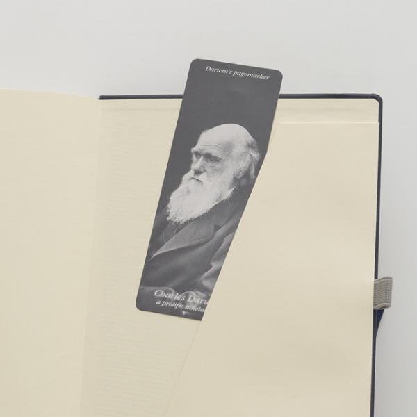 新宿伊勢丹で新潟のものづくりをベースにしたポップアップ！プティローブノアー阿部の故郷が題材