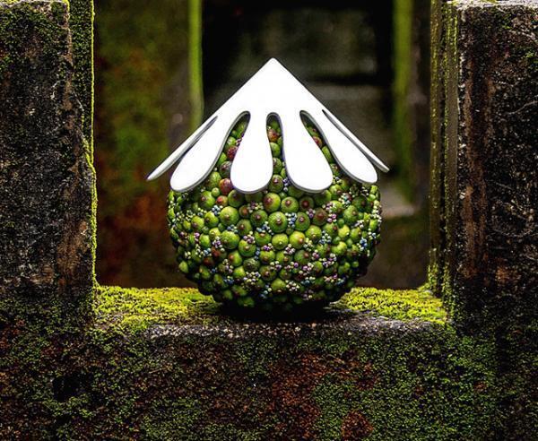 ニコライ・バーグマンが写真集を発売、太宰府天満宮で開催された展覧会「伝統開花」の作品を中心に収録