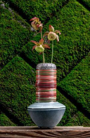 ニコライ・バーグマンが写真集を発売、太宰府天満宮で開催された展覧会「伝統開花」の作品を中心に収録