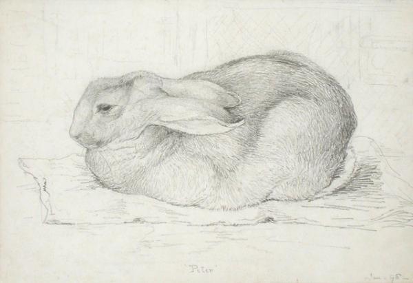 「ピーターラビット展」が渋谷で開催、原画やスケッチなど約200点以上からビアトリクス・ポターの創作を辿る