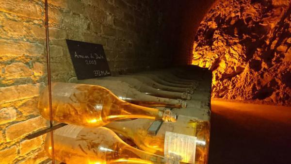 名門シャンパーニュカンパニー「ドゥーツ」の心髄に触れる【Paris Report--1/5】