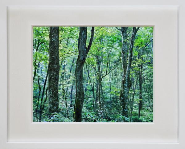 ブリック＆モルタル「SMALL GALLERY」にて“自然や植物”にフォーカスした2ndエキシビションが開催