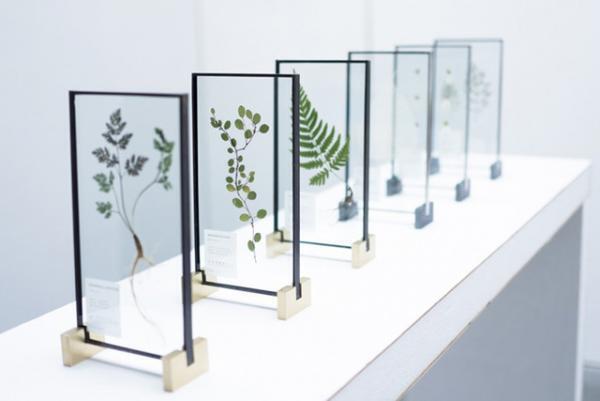 ブリック＆モルタル「SMALL GALLERY」にて“自然や植物”にフォーカスした2ndエキシビションが開催