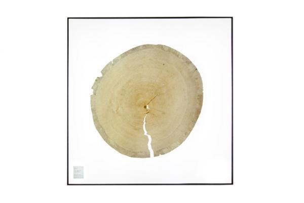 ブリック＆モルタル「SMALL GALLERY」にて“自然や植物”にフォーカスした2ndエキシビションが開催