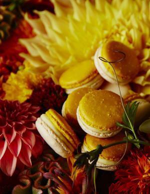 ピエール・エルメ・パリと至極のコラボ、期間限定のアフタヌーンティーセットが登場