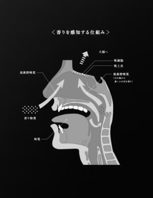 “きのこの山”など明治製品を徹底解剖!?「デザインの解剖展」が21_21 DESIGN SIGHTで開催