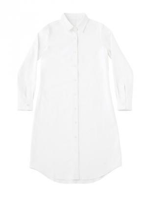 コエ×トム ブラウンのコラボコレクション発売、アイテムにアヒルモチーフの“KOE DUCK”が大量発生!?