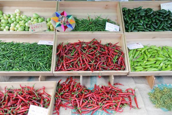 真夏のカレー&amp;ビールフェス！約20種類のカレーと、約12ブルワリーのクラフトビールが青山に大集結