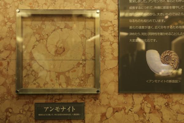 江戸から続く、東京の都日本橋で大人と子どもの社会見学！創業343年の日本橋三越建造物ツアー