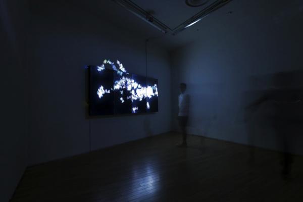 人の身体に咲き乱れる花々、この瞬間にしか巡り会えないデジタルアート。チームラボ新作展が表参道でスタート