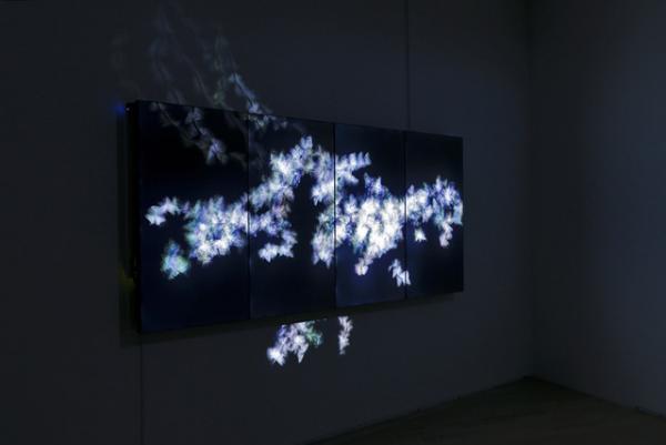 人の身体に咲き乱れる花々、この瞬間にしか巡り会えないデジタルアート。チームラボ新作展が表参道でスタート