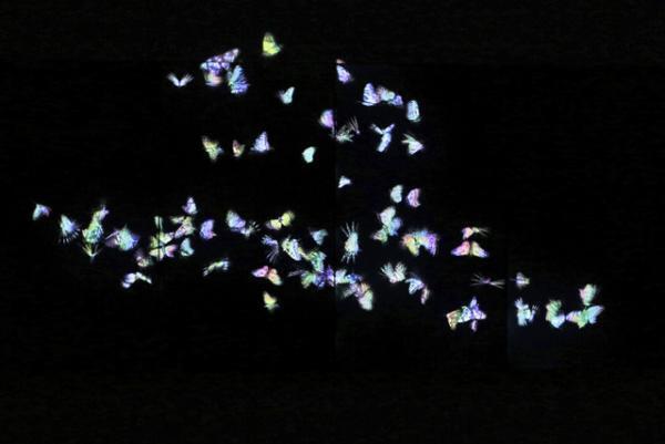 人の身体に咲き乱れる花々、この瞬間にしか巡り会えないデジタルアート。チームラボ新作展が表参道でスタート