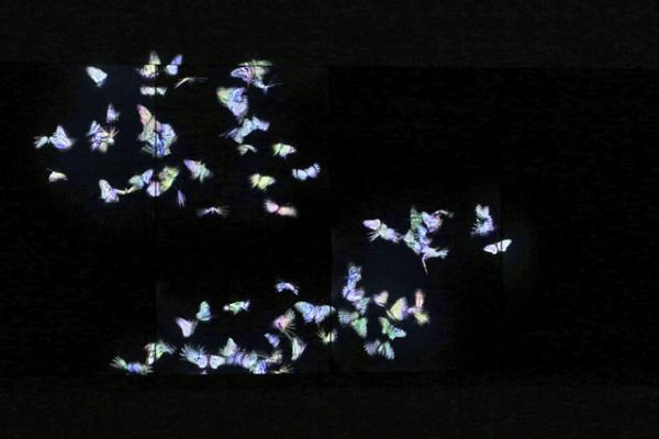 人の身体に咲き乱れる花々、この瞬間にしか巡り会えないデジタルアート。チームラボ新作展が表参道でスタート