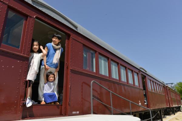 夏休みに行きたい「トットちゃん広場」ってどんなとこ？物語の世界に触れ、夏野菜の収穫や調理もできる体験型公園