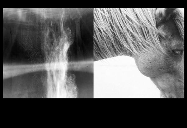 twelvebooks主催、出版社自らが写真集について語る「フォトブック・シンポジウム」がVACANTで開催