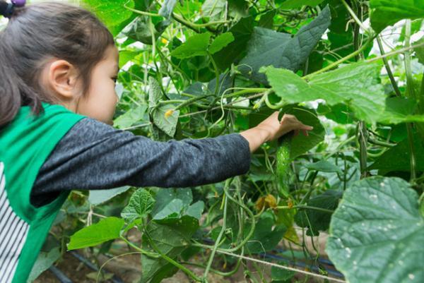 新潟県燕三条のものづくり現場を見学・体験できる年に1度の「工場の祭典」、今年は800年続く米農家なども参加