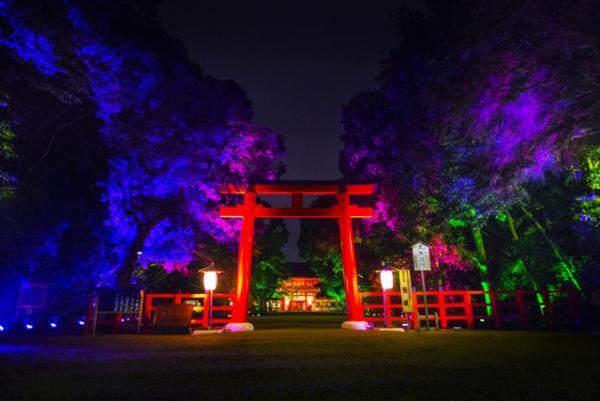 チームラボ、京都・下鴨神社を光のアート空間へ。夜の森に音色が響く