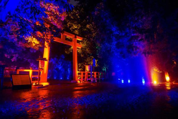 チームラボ、京都・下鴨神社を光のアート空間へ。夜の森に音色が響く