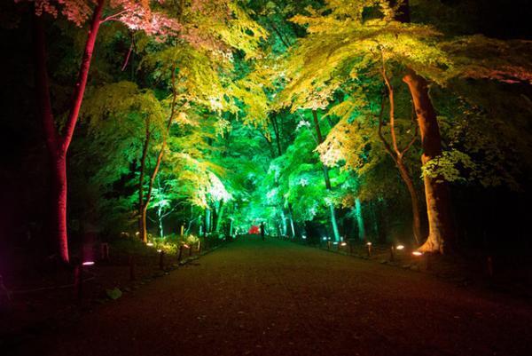 チームラボ、京都・下鴨神社を光のアート空間へ。夜の森に音色が響く