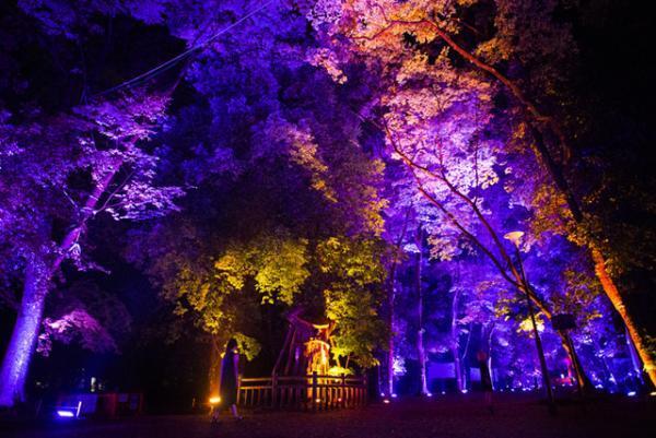 チームラボ、京都・下鴨神社を光のアート空間へ。夜の森に音色が響く
