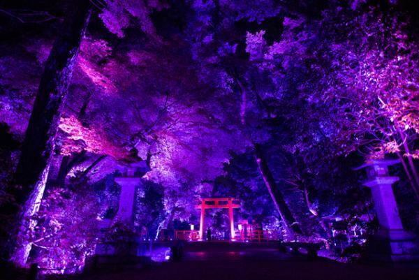 チームラボ、京都・下鴨神社を光のアート空間へ。夜の森に音色が響く