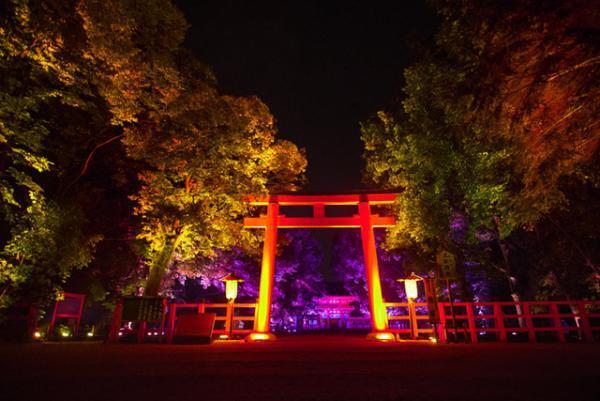 チームラボ、京都・下鴨神社を光のアート空間へ。夜の森に音色が響く