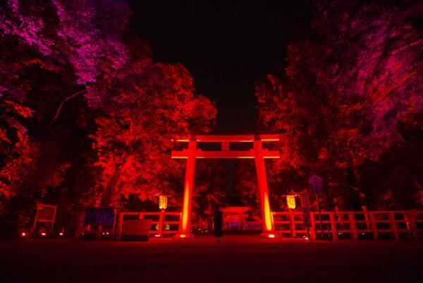 チームラボ、京都・下鴨神社を光のアート空間へ。夜の森に音色が響く