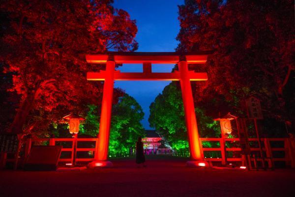 チームラボ、京都・下鴨神社を光のアート空間へ。夜の森に音色が響く