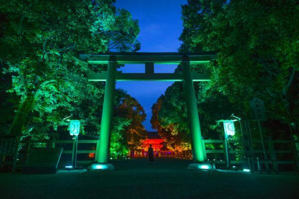 チームラボ、京都・下鴨神社を光のアート空間へ。夜の森に音色が響く