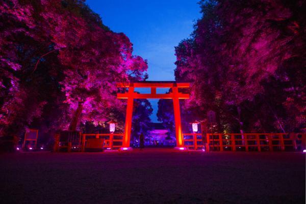 チームラボ、京都・下鴨神社を光のアート空間へ。夜の森に音色が響く