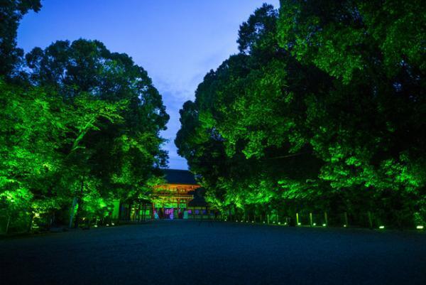 チームラボ、京都・下鴨神社を光のアート空間へ。夜の森に音色が響く