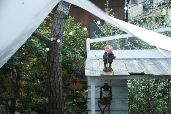 秘密にしておきたい！湘南の家具屋のカレー屋さん～親子編～【湘南日帰り旅】