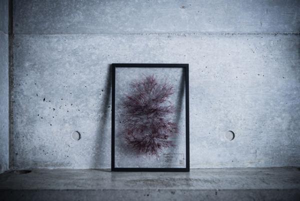 “飾れるハーブティー”に新作。表参道 ロケットに研究室のようなポップアップが出現！