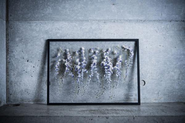 “飾れるハーブティー”に新作。表参道 ロケットに研究室のようなポップアップが出現！