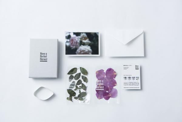 “飾れるハーブティー”に新作。表参道 ロケットに研究室のようなポップアップが出現！