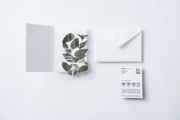 “飾れるハーブティー”に新作。表参道 ロケットに研究室のようなポップアップが出現！