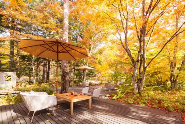 秋のきざしをスイーツと香り立つコーヒーで感じる。軽井沢ブレストンコートの季節限定ペアリングコース